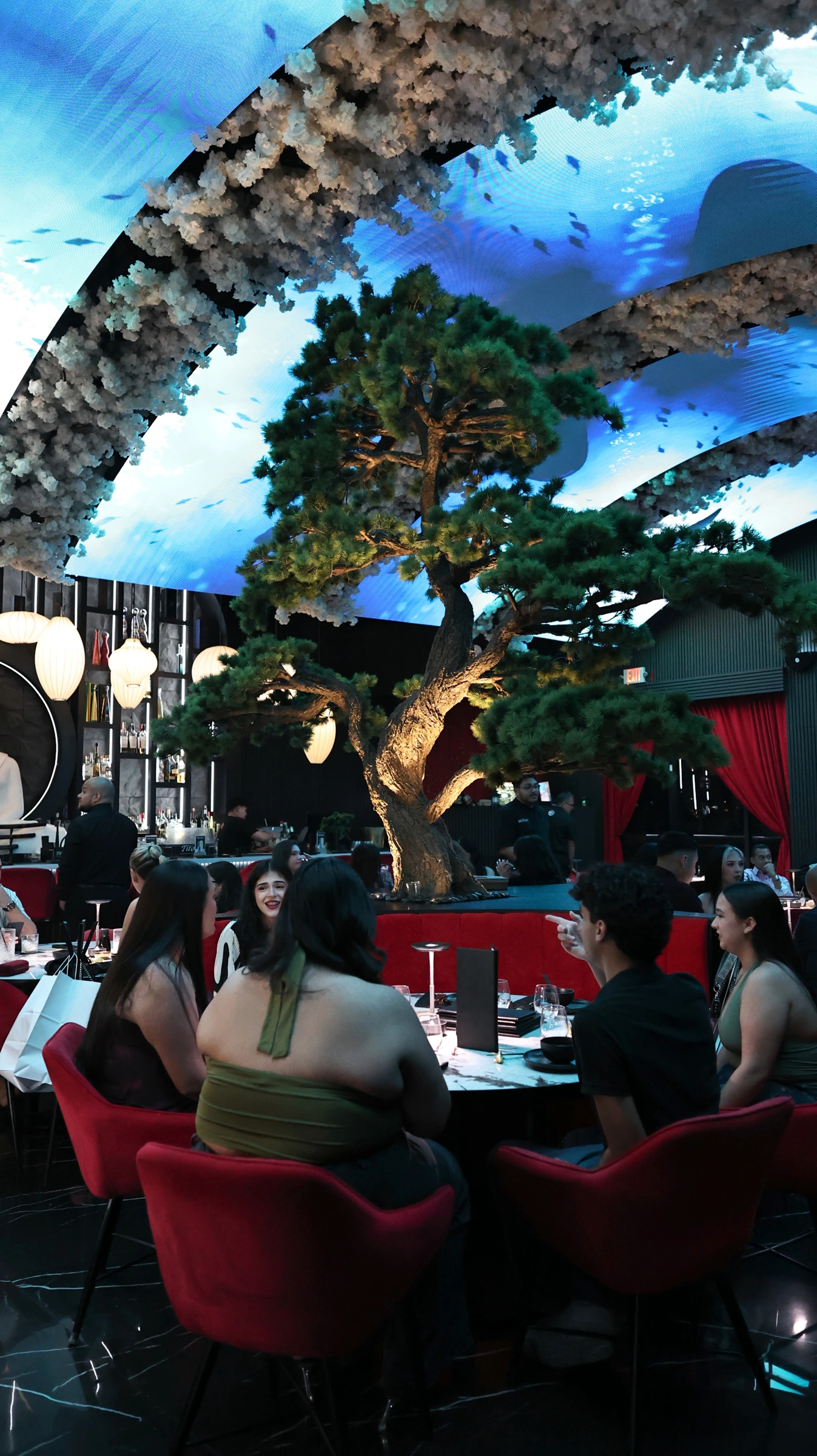 Guests dining in Mousai’s red seating beneath the central tree, lanterns and illuminated ceiling in McAllen